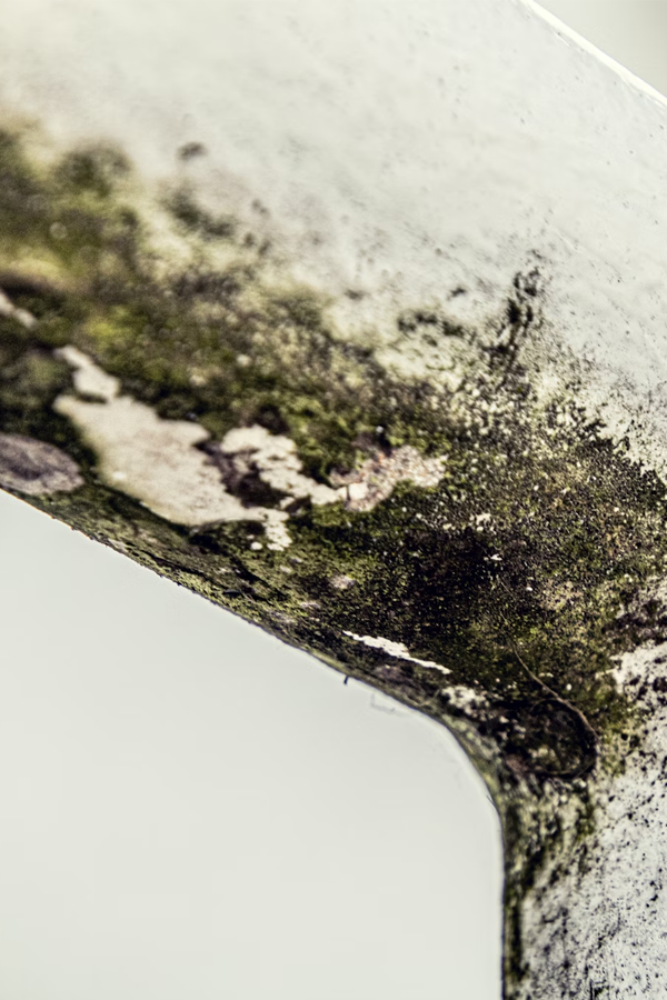 mold1
