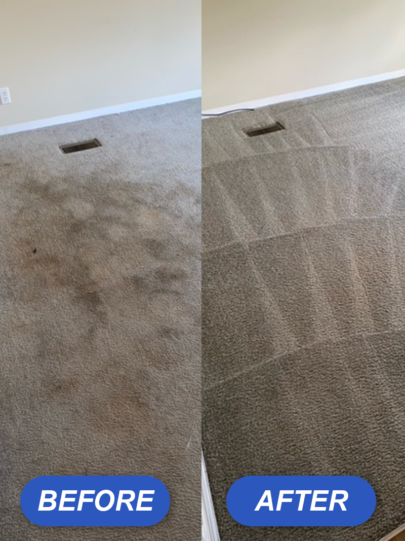 carpet_before_after