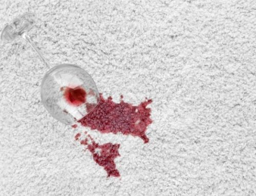 The 5 Most Difficult Carpet Stains (and How to Remove Them)