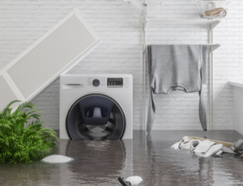 What To Do When Buying a Home with Water Damage