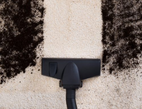 How to Prepare for Professional Carpet Cleaning