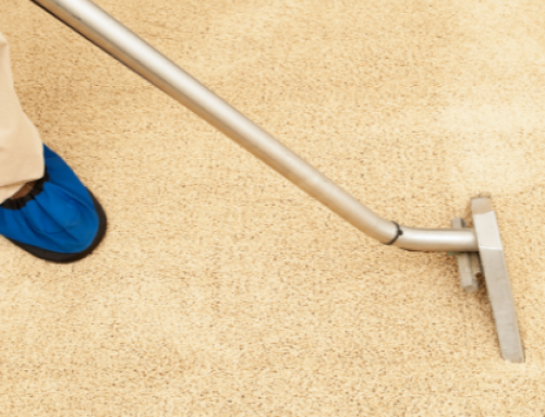 Why You Should Hire Professional Carpet Cleaners