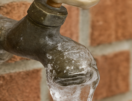 Don’t Let the First Freeze Catch You Off Guard!