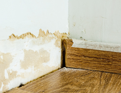 What to Do Within the First 24 Hours of Water Damage