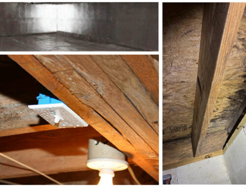 Crawlspace Mold & Moisture in Clarksville, TN: What Homeowners Need to Know